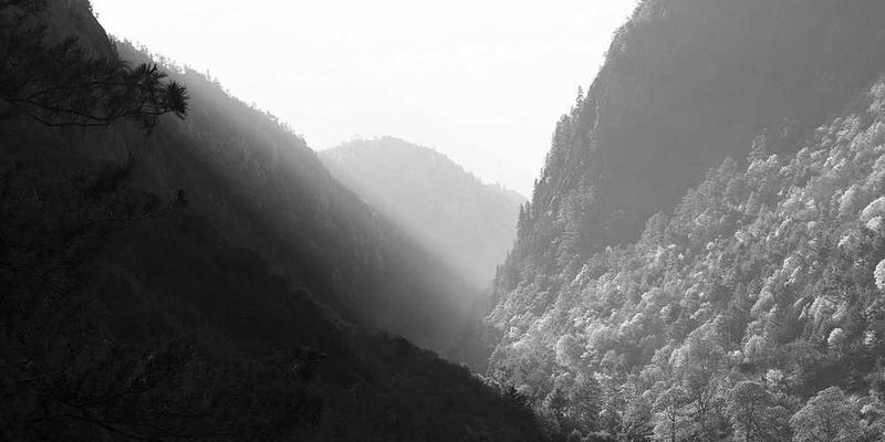 潜伏5：红门