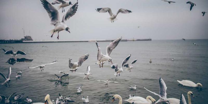 流浪地球2